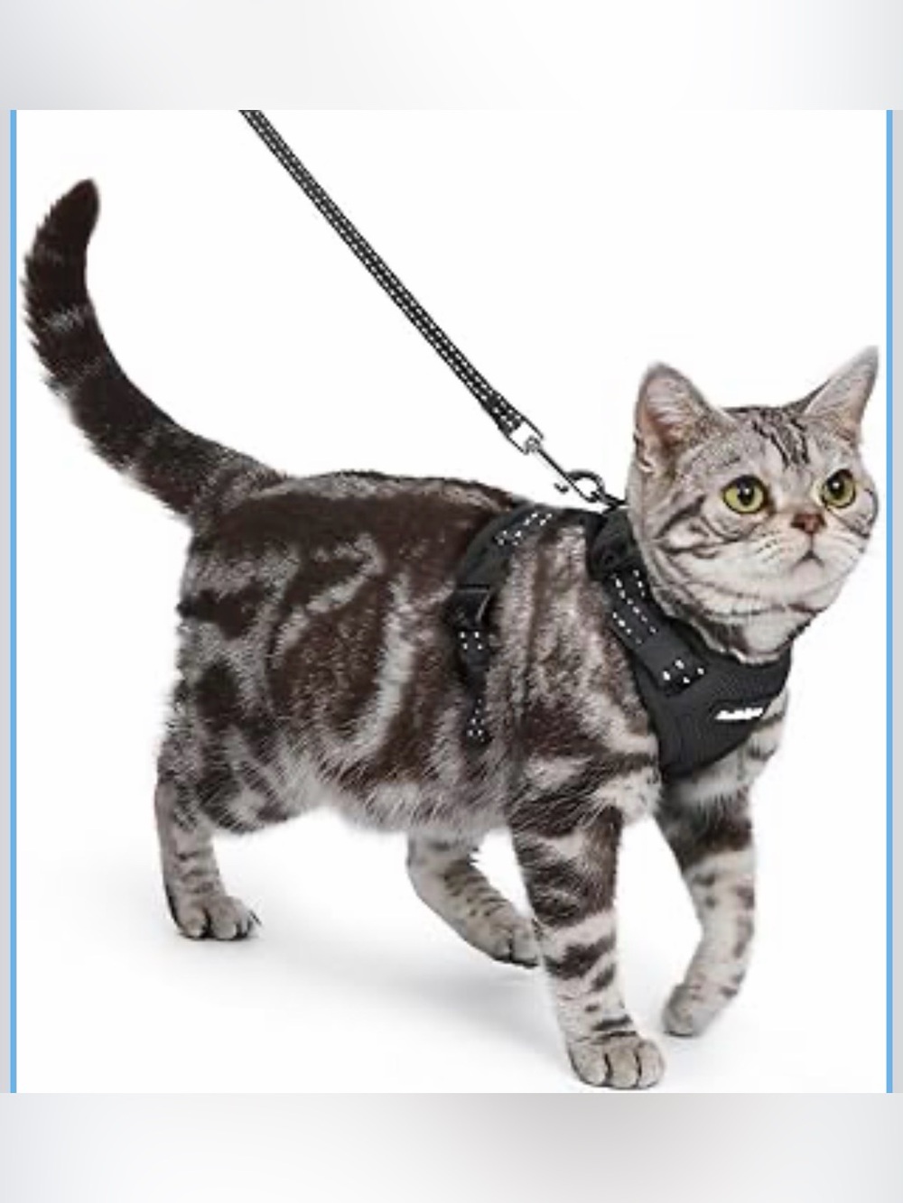 Cat Harness & Leash, Vest w/ Adjustable Buckles, Reflective, Small, Black, NEW